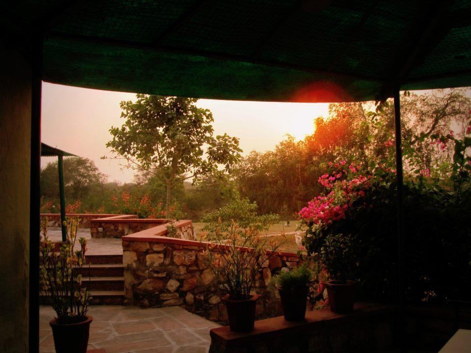 Hotel Bharatpur Ashok 외부 사진
